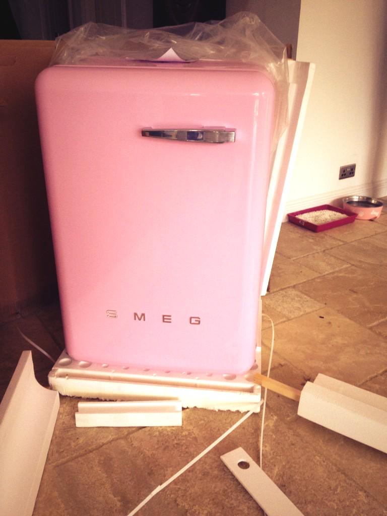 Wellsmart's tweet image. Loving my new fridge! #smeg
