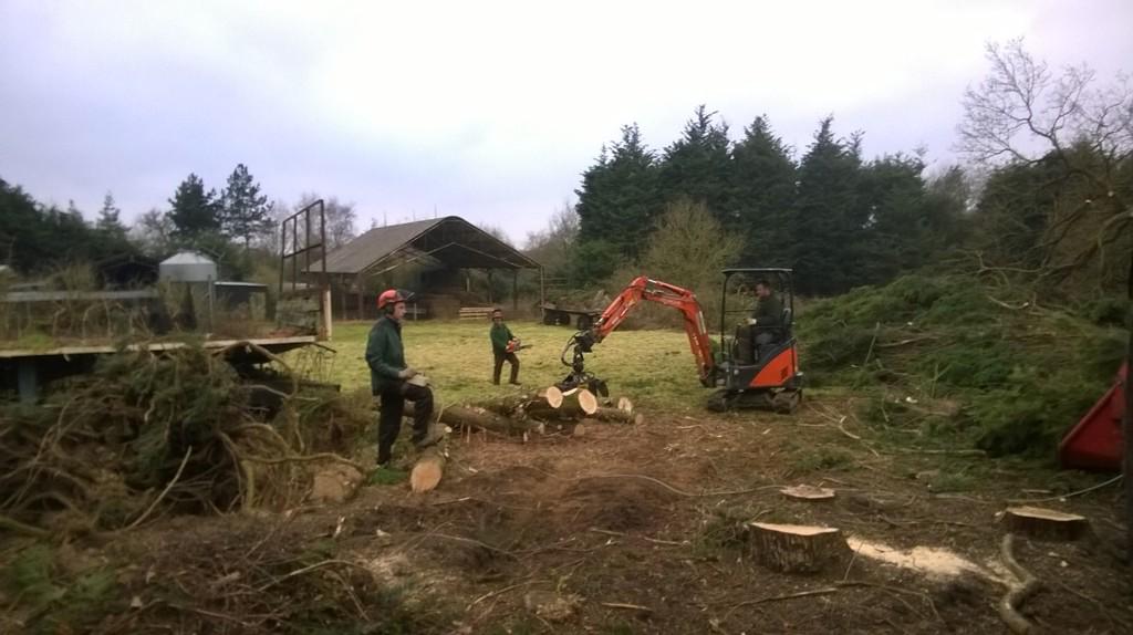 B19TMJ's tweet photo. Massive conifer take down, can't beat a bit of kit on site! #mtjs http://t.co/bCTNBFWi1O