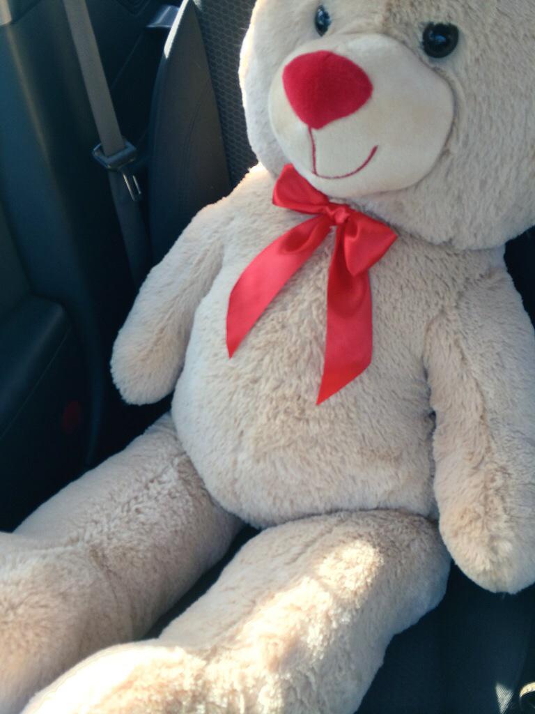 DueceVolz's tweet photo. “@ShalynKinney: All my dreams came true today😍❤️ http://t.co/X1gcUNJ8cS” loucks reely famelier, allmoast cood b mi bruther.