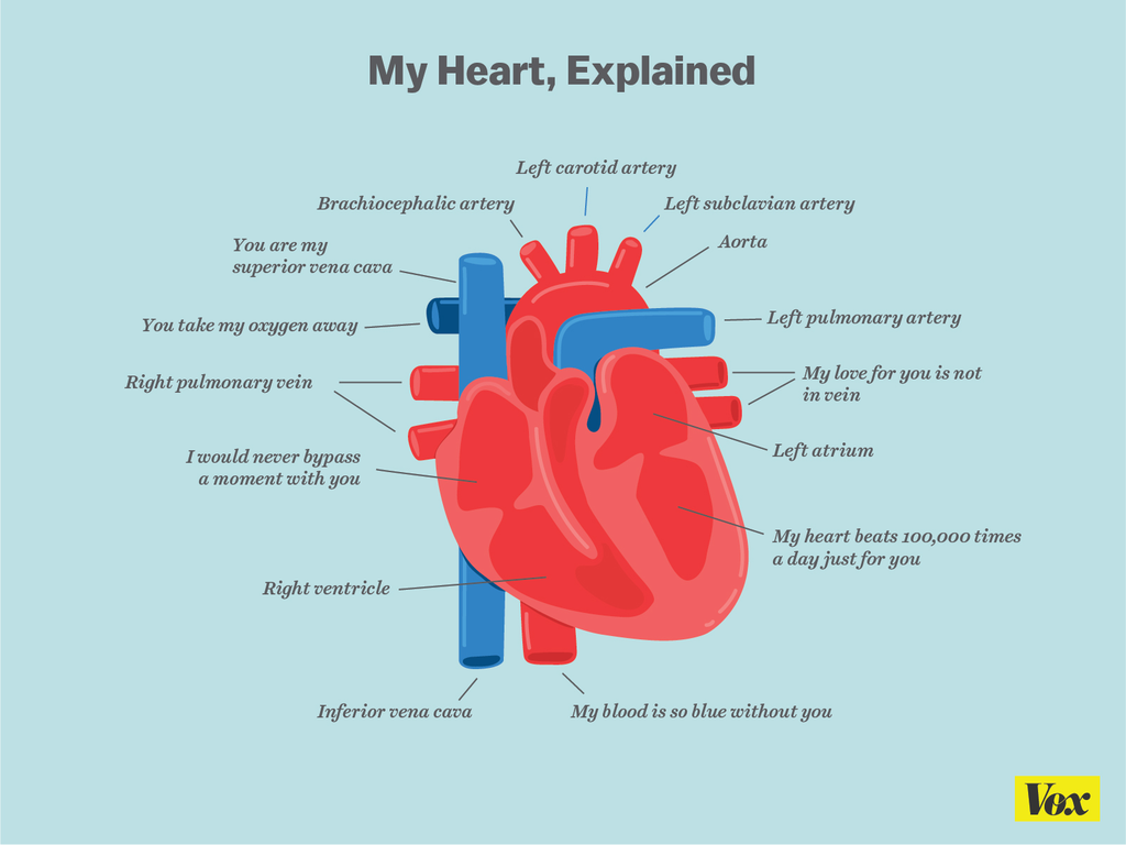 voxdotcom's tweet photo. Happy Valentine's Day http://t.co/9mSQXHo3YE