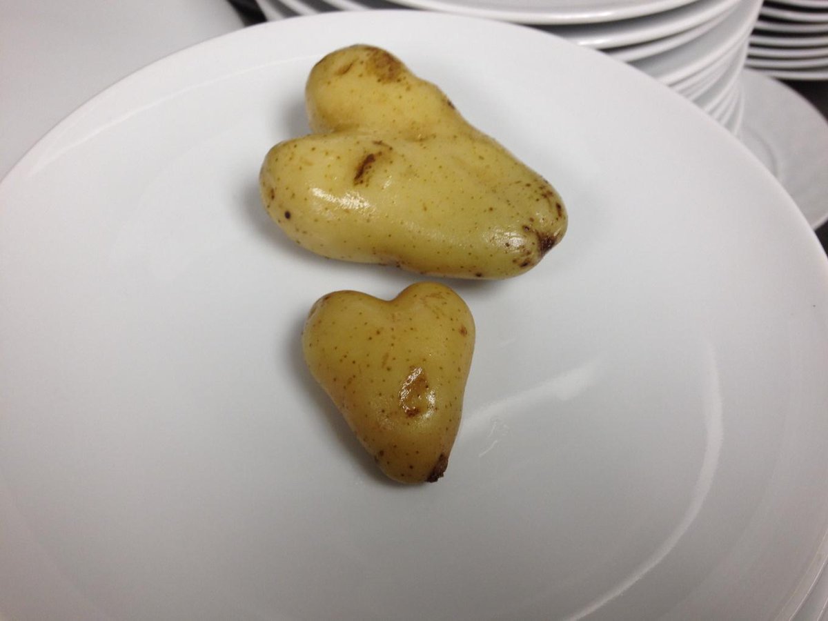 Happy Valentine's Day #500covers