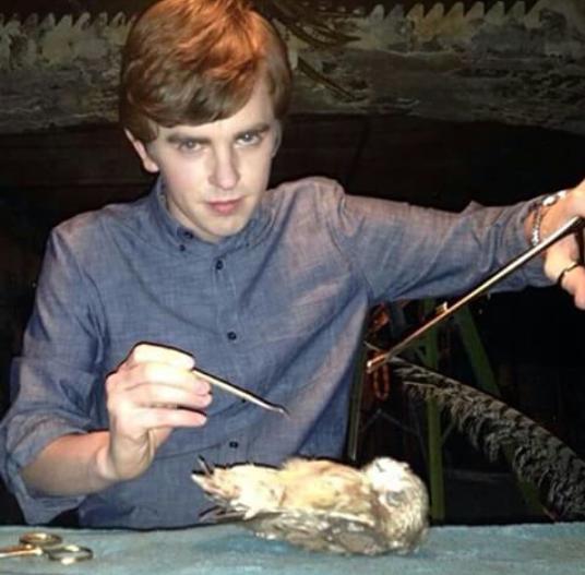 Happy birthday to this cutie!!! freddie highmore is wow 