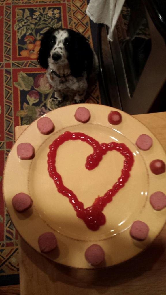 Dads home alone for the weekend with the dog so he made her a Valentine's Day dinner