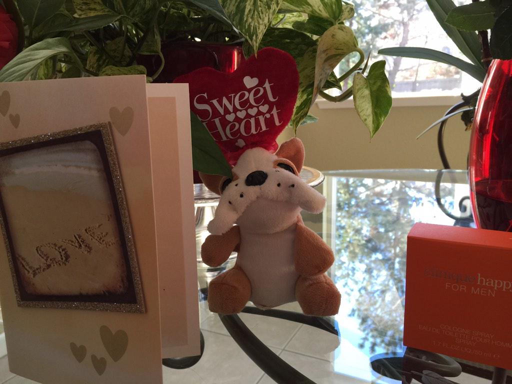 svandy1's tweet photo. Happy Valentines Day#love http://t.co/QyFIzcnf8N