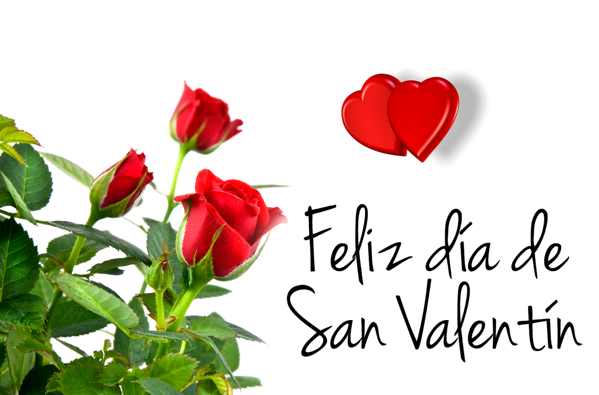 Amber_Due's tweet photo. Para mis Amigas y amigos http://t.co/lqcD1UNgLc