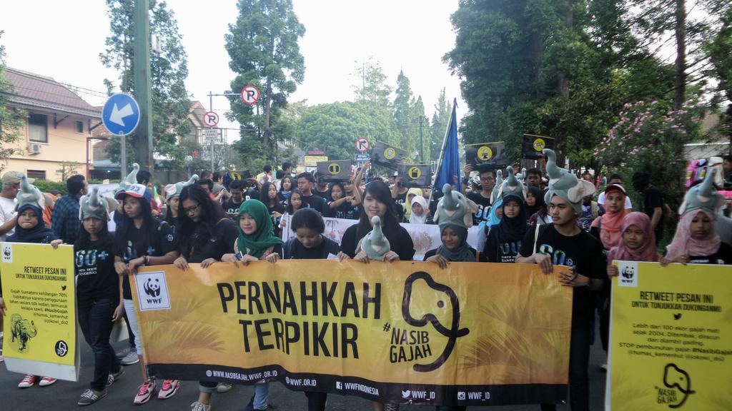 Bersama <a href="/EHindonesia/">Earth Hour Indonesia</a> di CFD Bandung, kampanye #NasibGajah mengajak warga Bandung utk peduli gajah.
