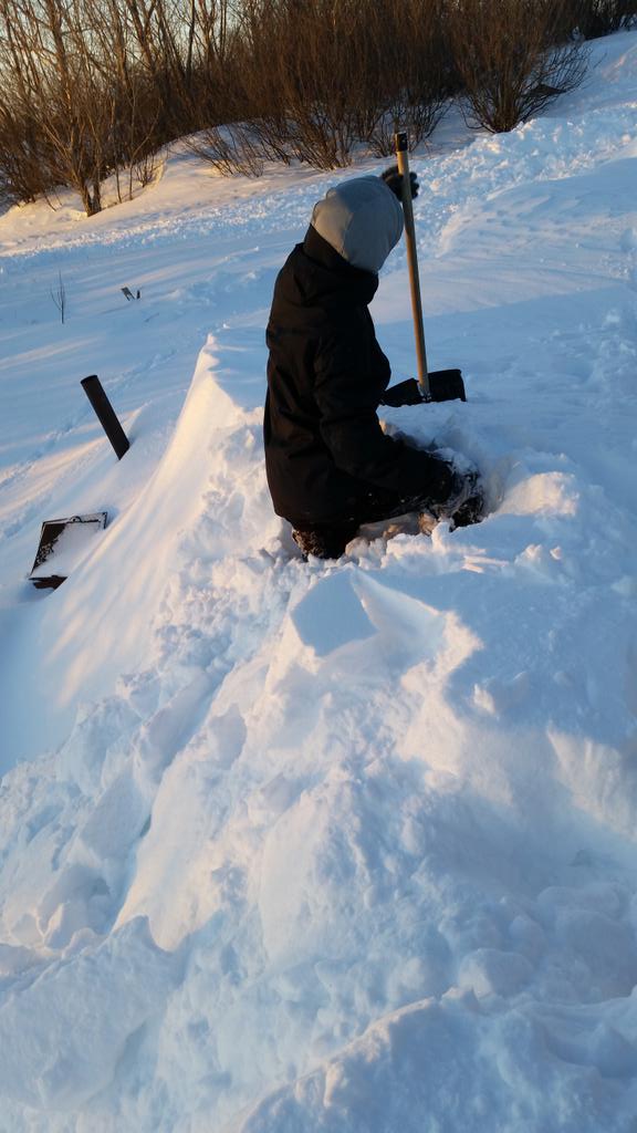 ranimalpark's tweet photo. The park had been buried yet again! Another full day of everyone shoveling. http://t.co/biR6tWKGSr
