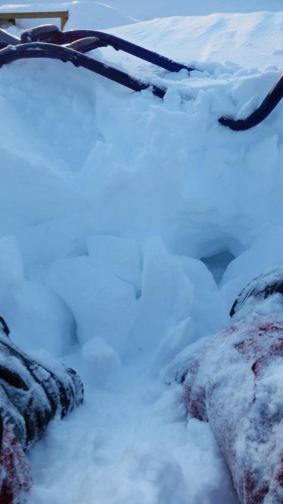 ranimalpark's tweet photo. The park had been buried yet again! Another full day of everyone shoveling. http://t.co/biR6tWKGSr
