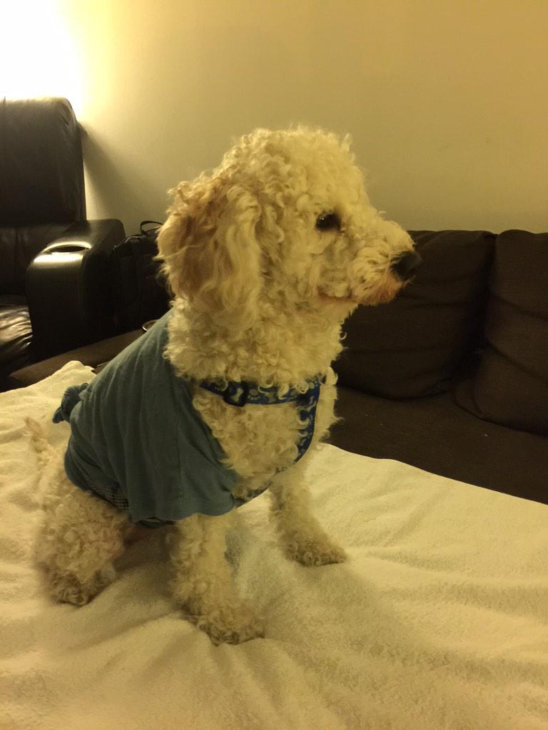 So you're all excited about #IndvPak, eh? #BleedBlue