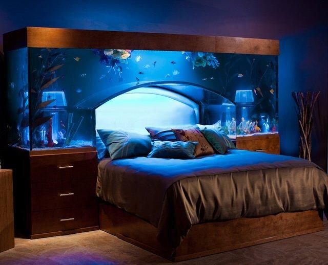 VeryCoolThings's tweet photo. Aquarium Bed http://t.co/w1fCDoNhkc