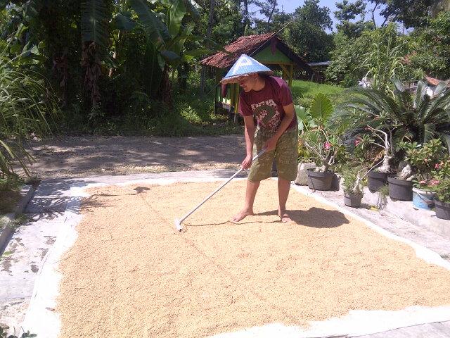 Saya juga orang desa gaes :D Cc <a href="/Dodit_Mulyanto/">Dodit Mulyanto</a>