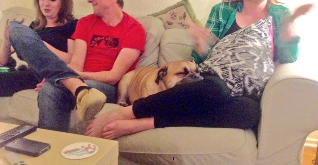 hungoverpooch's tweet photo. i'm at a party. http://t.co/yUF85f9QpO