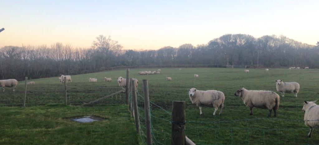 CLC69011098's tweet photo. Loving the neighbours! #Wales @KeelyPVFC @jacobcatterall1 @Caz4379 get up! #time4abrew βοΈ http://t.co/x8PMzB2DnP