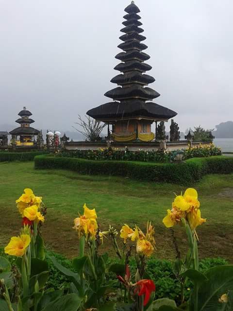 buanaguss's tweet photo. http://t.co/4uN9g1avOM
