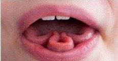 cassiee_millerr's tweet photo. me & @leblanc_alissa can do this๐๐ #wetalented http://t.co/SGaOkHrpcs