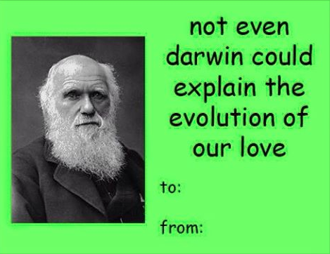 a_grassler's tweet photo. Happy Valentines day! http://t.co/1WOBfAtwyb