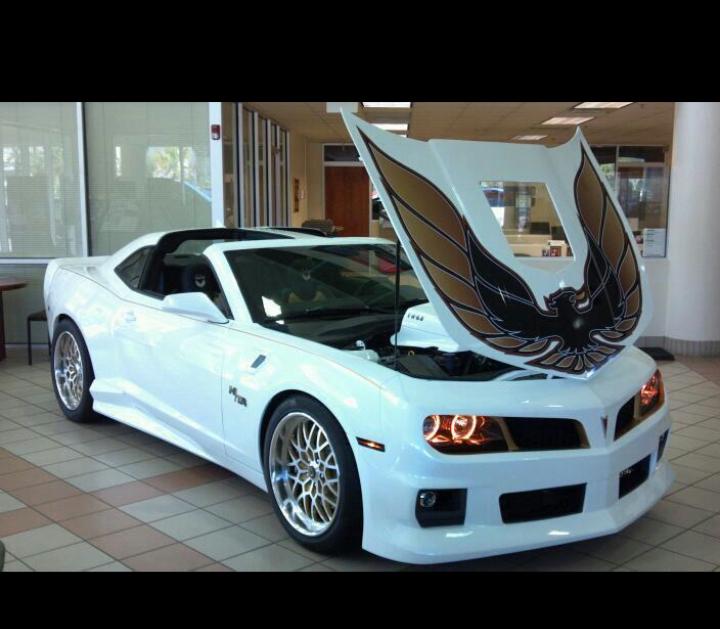 TransAm36's tweet image. 