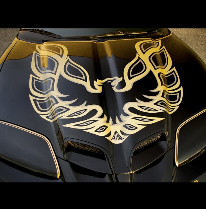 TransAm36's tweet image. 