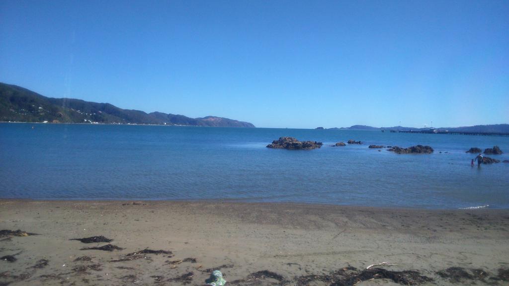 JasonPurewa's tweet image. 