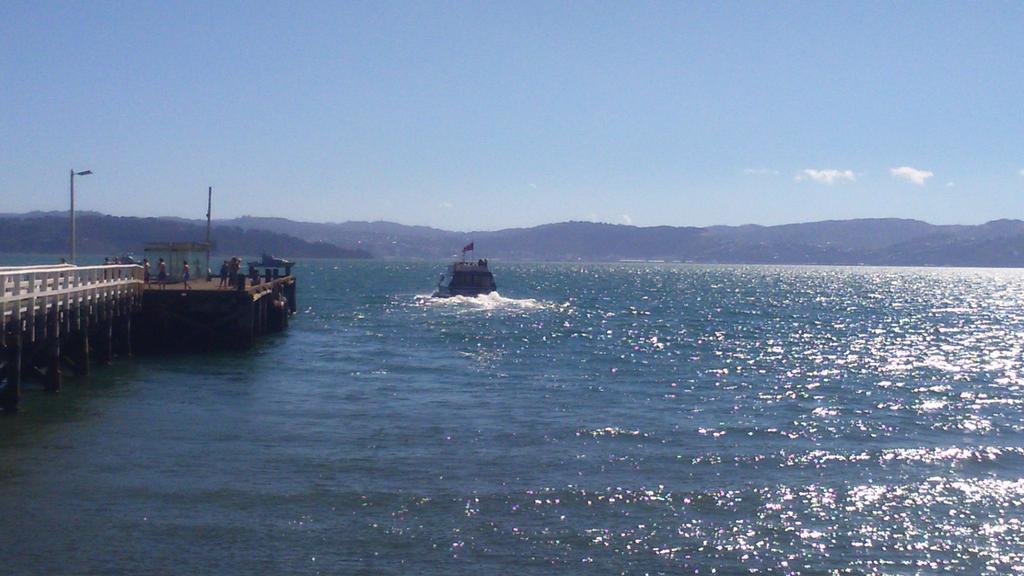 JasonPurewa's tweet image. 