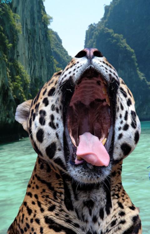 CVPanters's tweet photo. Ff wakker worden en dan gas erop!!! #spekéttuh #reundjemeerpoel #zummere http://t.co/bTUqwS5ir0