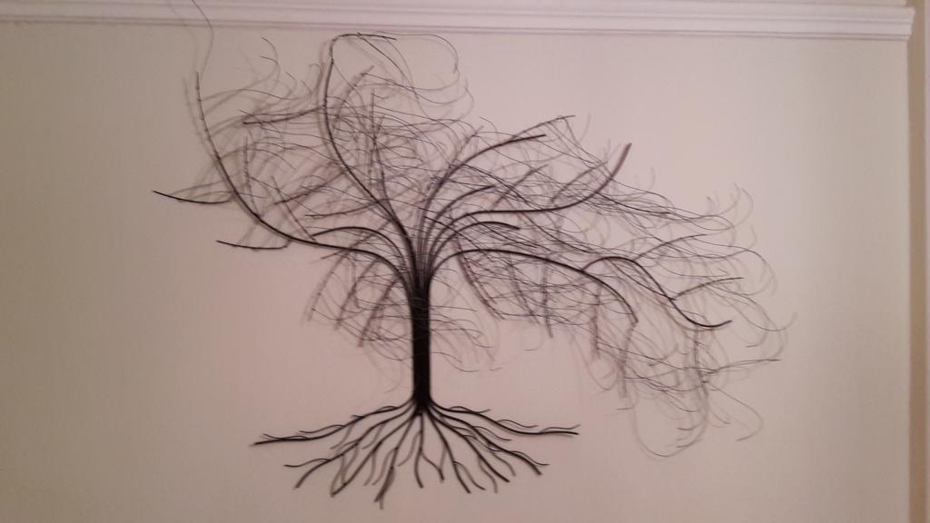 Alonso Zanela M tweet media