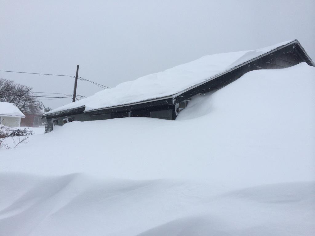 View image on Twitter