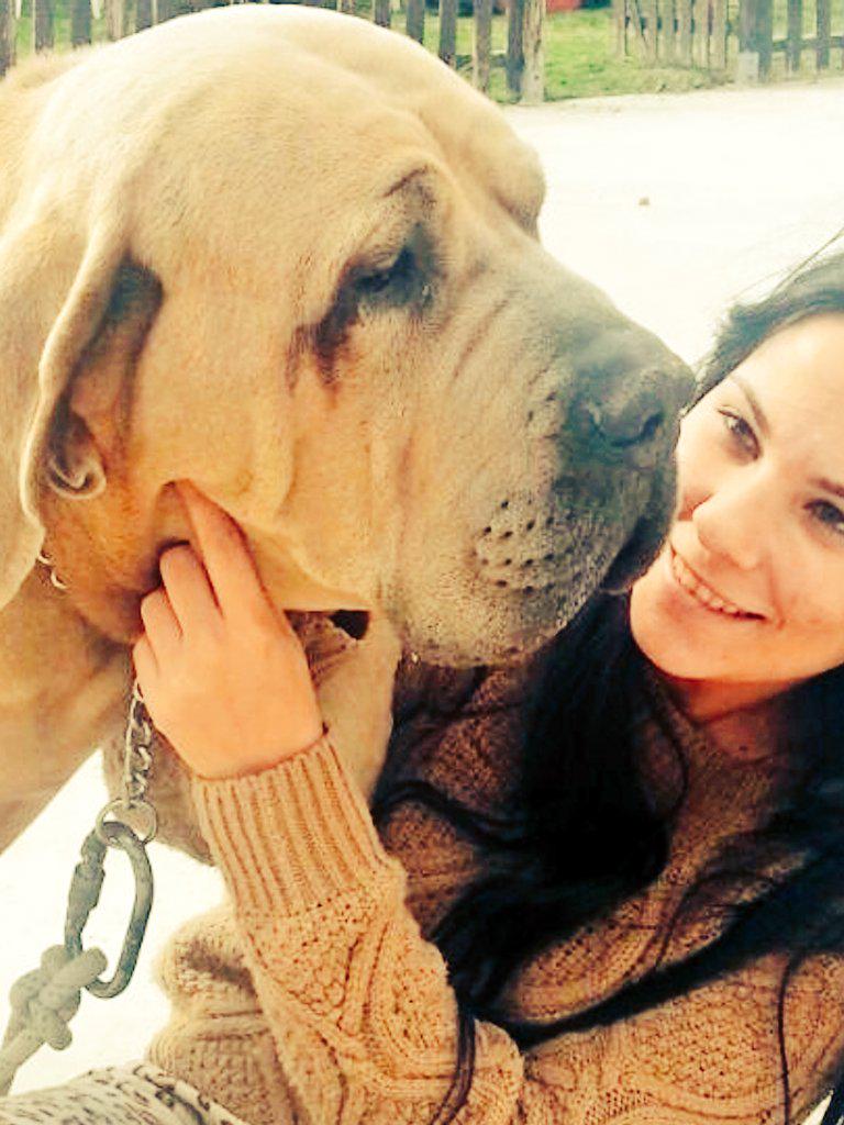 veroYeico's tweet photo. Animales como personas!! http://t.co/QXpA85vXng