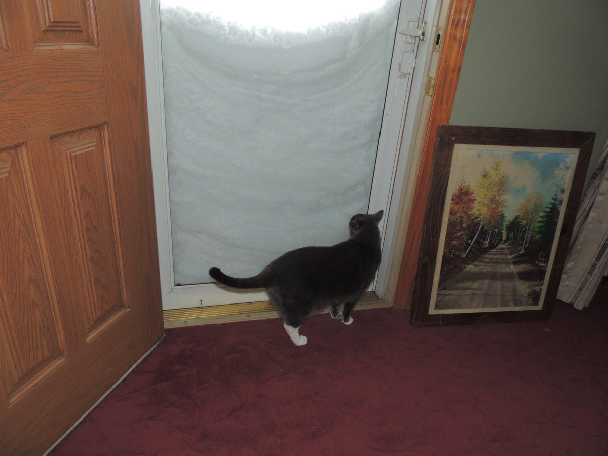 View image on Twitter