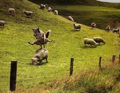 SeimenBurum's tweet photo. Good morning Milady, Happy Sunday, enjoy the freedom.. xxx @lopcute http://t.co/olHUtEInBR