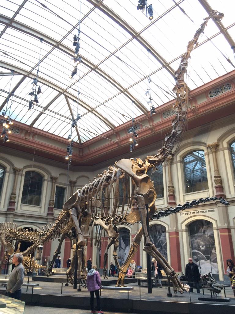 Just another Sunday in Naturkundemuseum, Berlin 🌸🍂🐆🐝