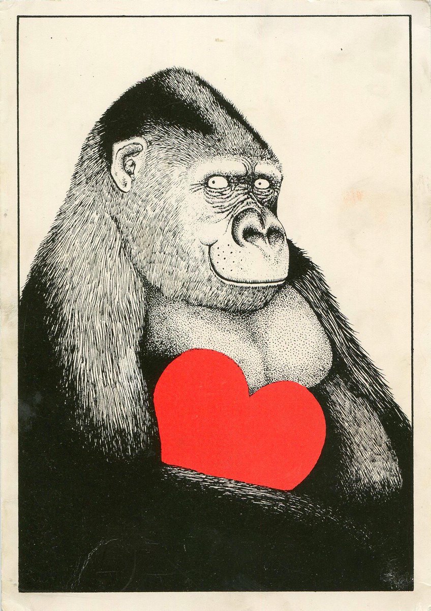 Silverbackcic's tweet photo. When i woke up this morning #AngusFairhurst #silverbackcic the feeling was still there #AnthonyBrowne #silverbackcic http://t.co/rxmSwb6POJ