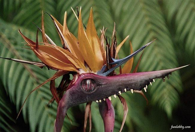 CoffmanFormat's tweet image. 