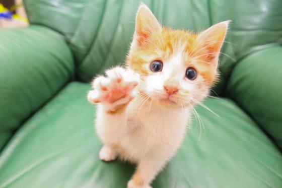 MirkitoGonzalez's tweet photo. Quien te quiere, te apoyará siempre, y te dará su ayuda sin importar lo que venga después. http://t.co/ZmIDpTxNtf