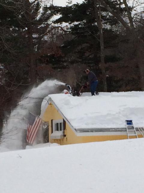 View image on Twitter