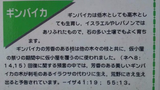 エホバの証人の独言会衆さん がハッシュタグ カルト をつけたツイート一覧 1 Whotwi グラフィカルtwitter分析