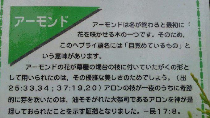 エホバの証人の独言会衆さん がハッシュタグ カルト をつけたツイート一覧 1 Whotwi グラフィカルtwitter分析