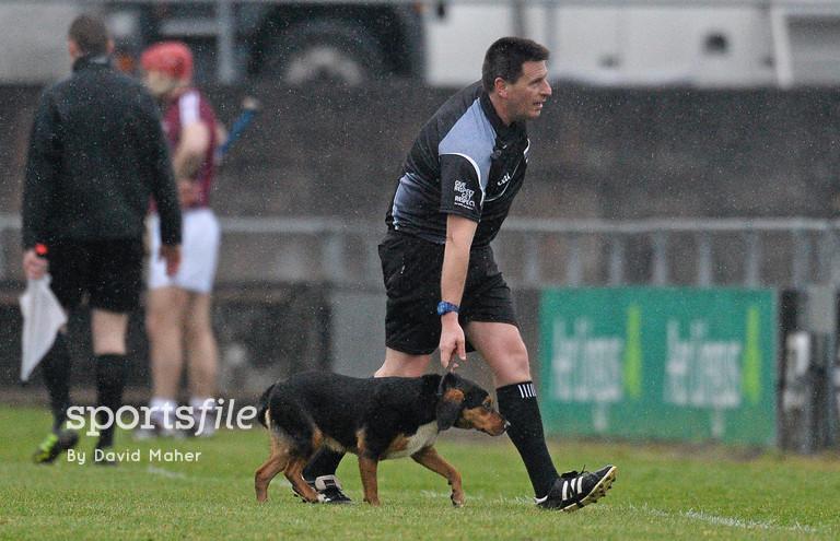 sportsfile's tweet photo. We guess it was a red card offence @referee34 #AllianzLeagues #Hurling #HowMuchIsTheDoggyInTheWindow http://t.co/anw8gzGJB9