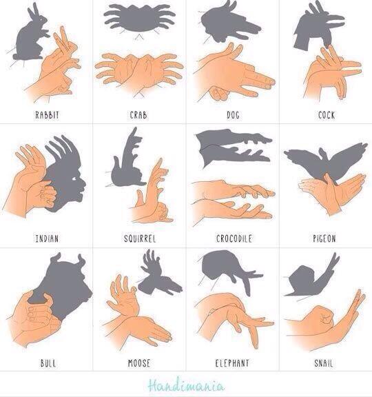 awkwardgoogle's tweet photo. How to make shadow puppets with your hands http://t.co/vKhapTO0J5