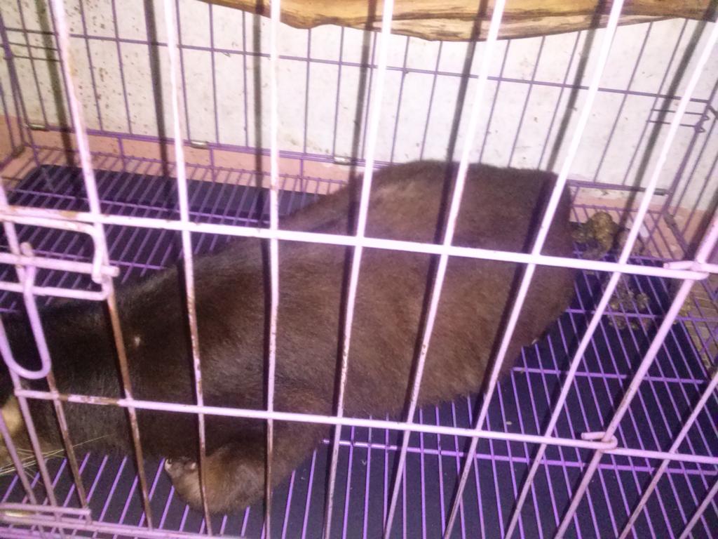 multi_ras's tweet image. Bombom jeger nya multi ras :D