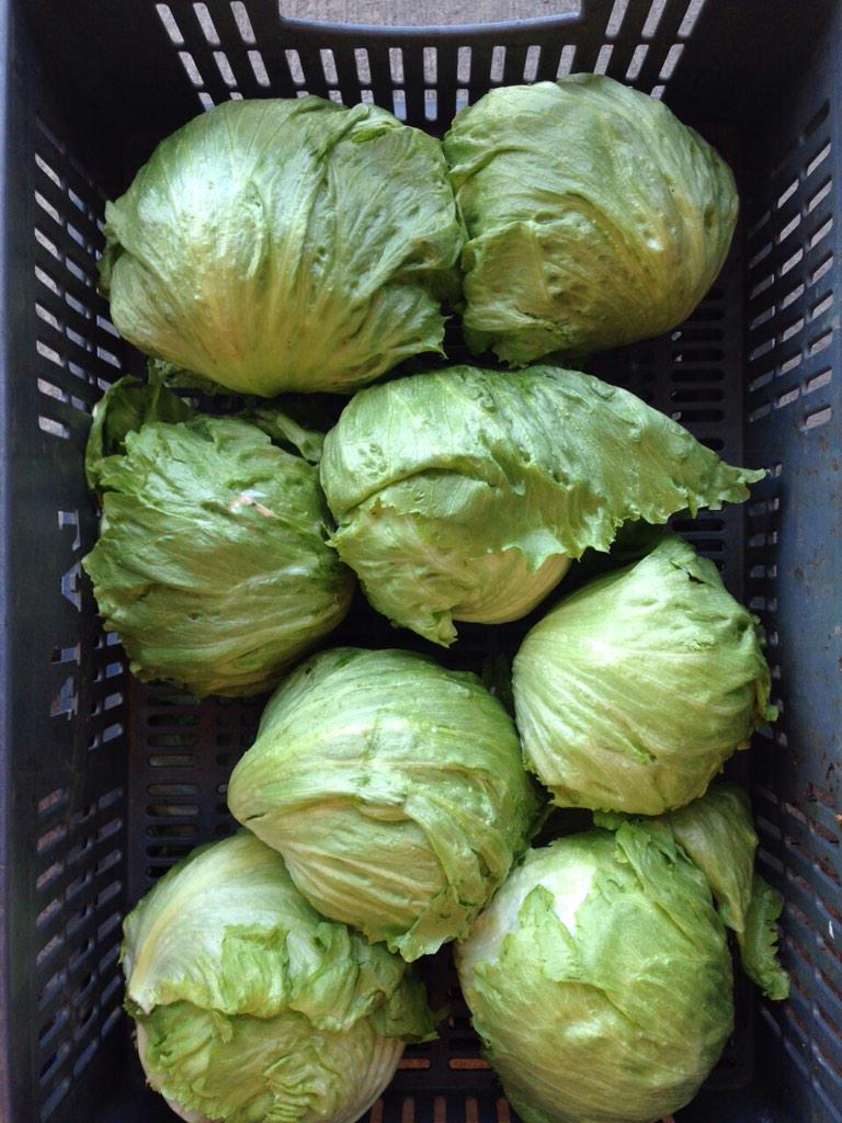 Exportamos hortalizas desde Colombia vía aérea inicialmente pequeños pedidos si necesita conocer nuestros productos