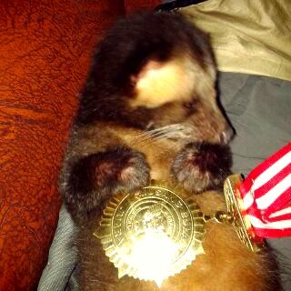 multi_ras's tweet image. Nih