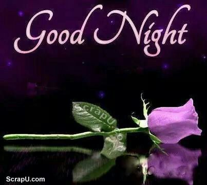 sshree_9's tweet image. 