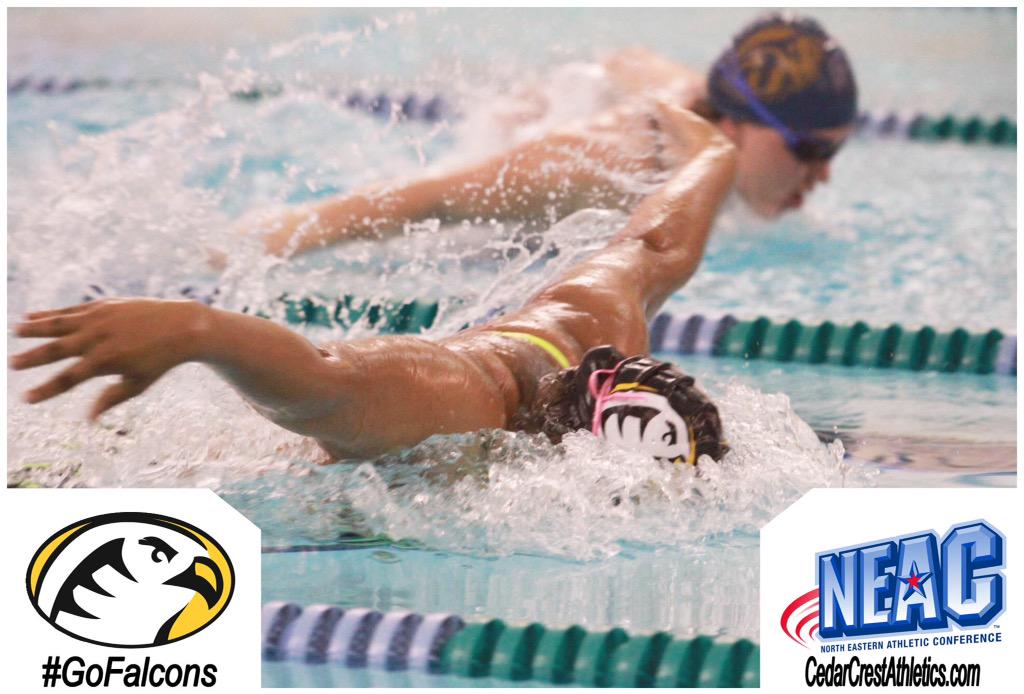 CCCFalcons's tweet photo. It's Day 3 of the @NEACSports Swimming &amp; Diving Championships! #GoFalcons http://t.co/81HsXBGYMh