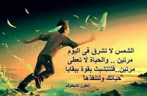 rand_faker's tweet photo. @abcd43214 http://t.co/2bjujO1ecZ
