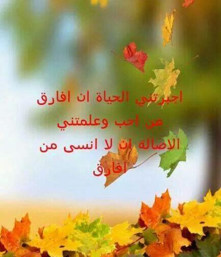 rand_faker's tweet photo. http://t.co/m4BTQbJCHR