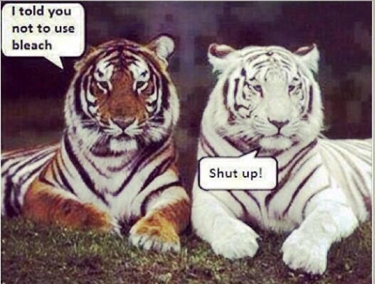 Revex's tweet image. 