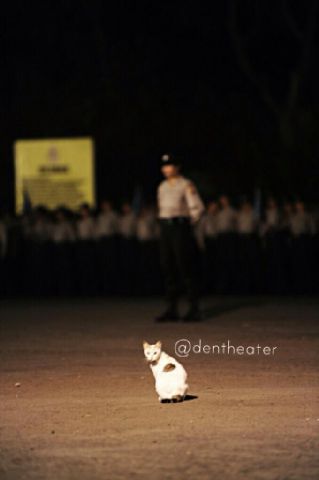 Avisa Octaviani (@avisaocta) on Twitter photo 