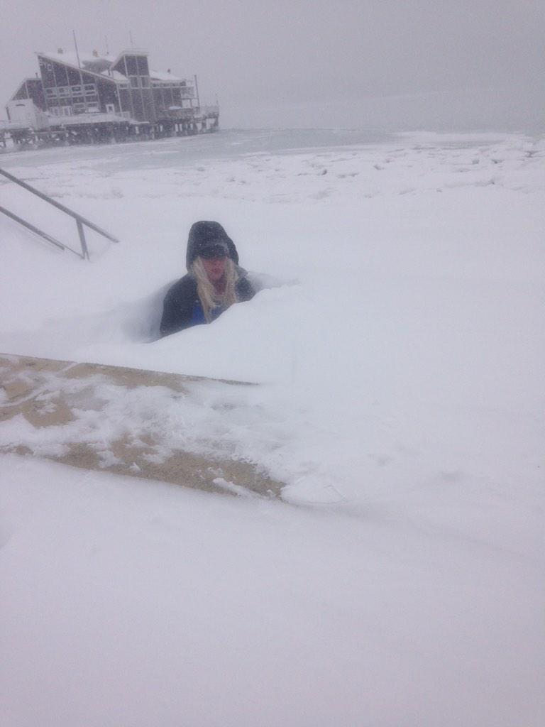 View image on Twitter