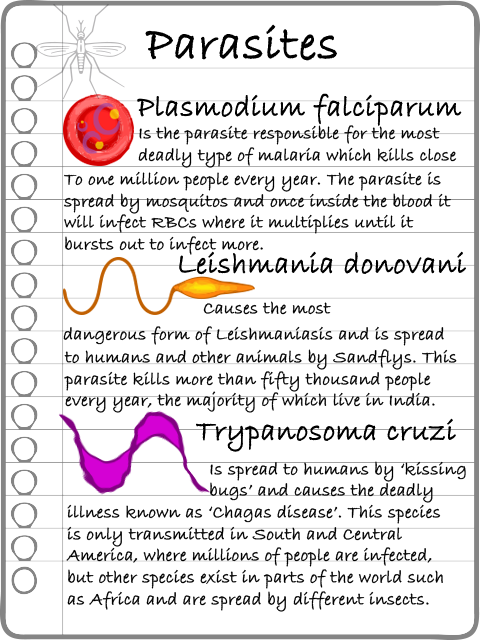 Sentinel_Cell's tweet image. Pathogen information Sheet!
#Game in the #iOS store now
itunes.apple.com/gb/app/sentine…